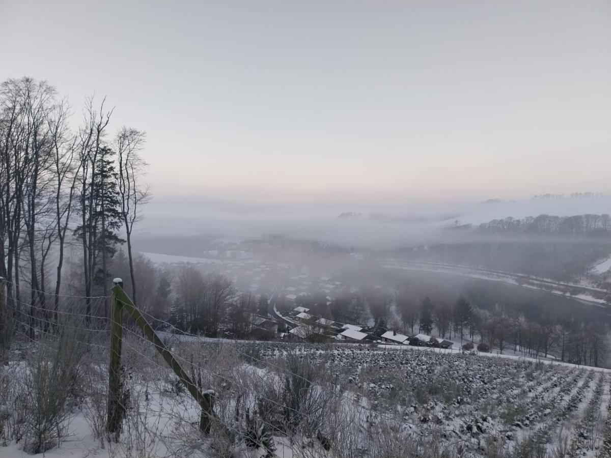 משדה Ferienhaus Lena Im Sauerland Direkt Am Hennesee מראה חיצוני תמונה